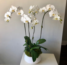 Load image into Gallery viewer, White Orchid
