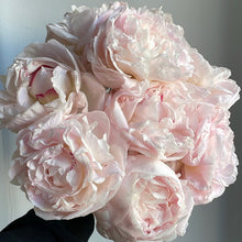Load image into Gallery viewer, SALE Peony Bunch
