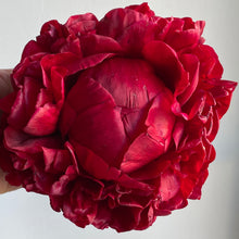 Load image into Gallery viewer, SALE Peony Bunch
